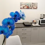 Fioriris Del * 斯特雷萨